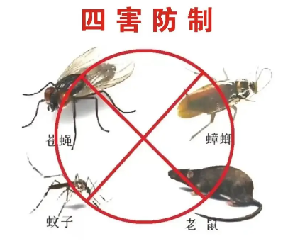 床墊易滋生吸血臭蟲(chóng)，怎樣預(yù)防呢？